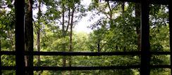 Wooded Back Porch View of Cedar Splendor Cabin at a Lazee Daze in the Ozarks in Eureka Springs Arkansas